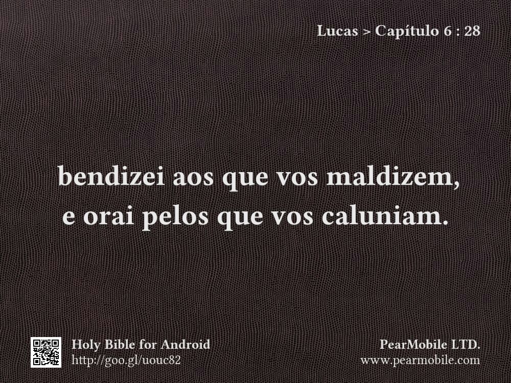 Lucas, Capítulo 6:28